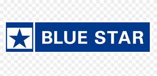 Blue Star water purifier RO repair and service in Delhi NCR